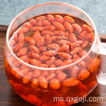 Organik lycium wolfberry goji berry untuk kesihatan